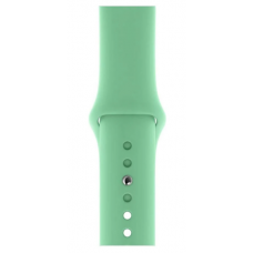 Platina Watchband For iWatch 42mm - 44mm - Groen